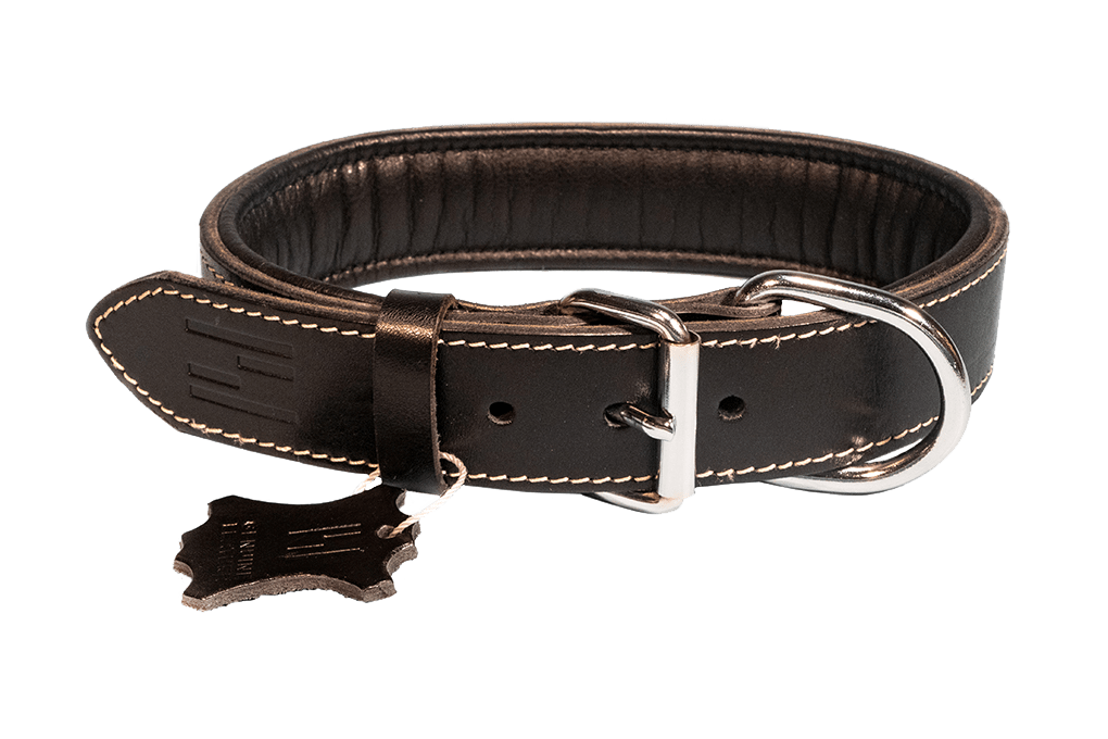Halsband