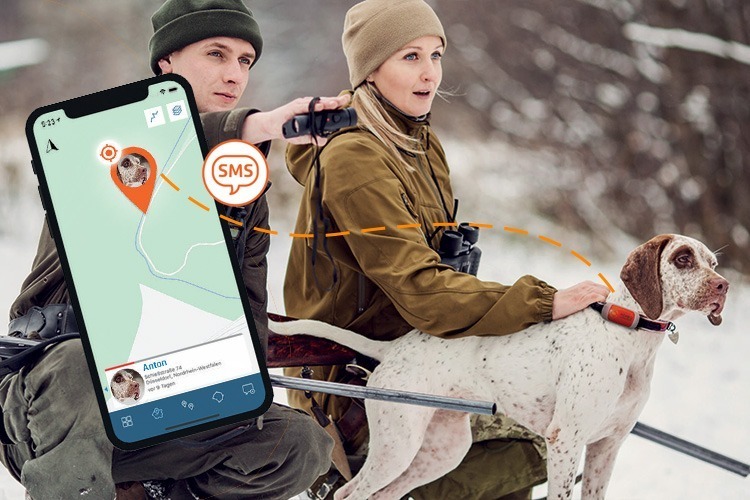 area-hunting-sms