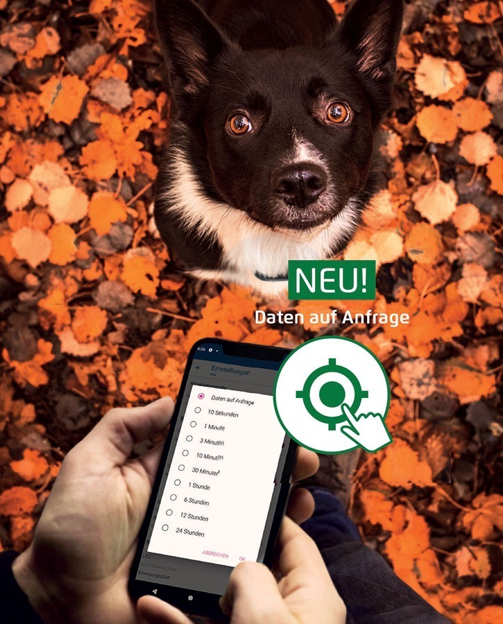 area-pets-daten-auf-anfrage
