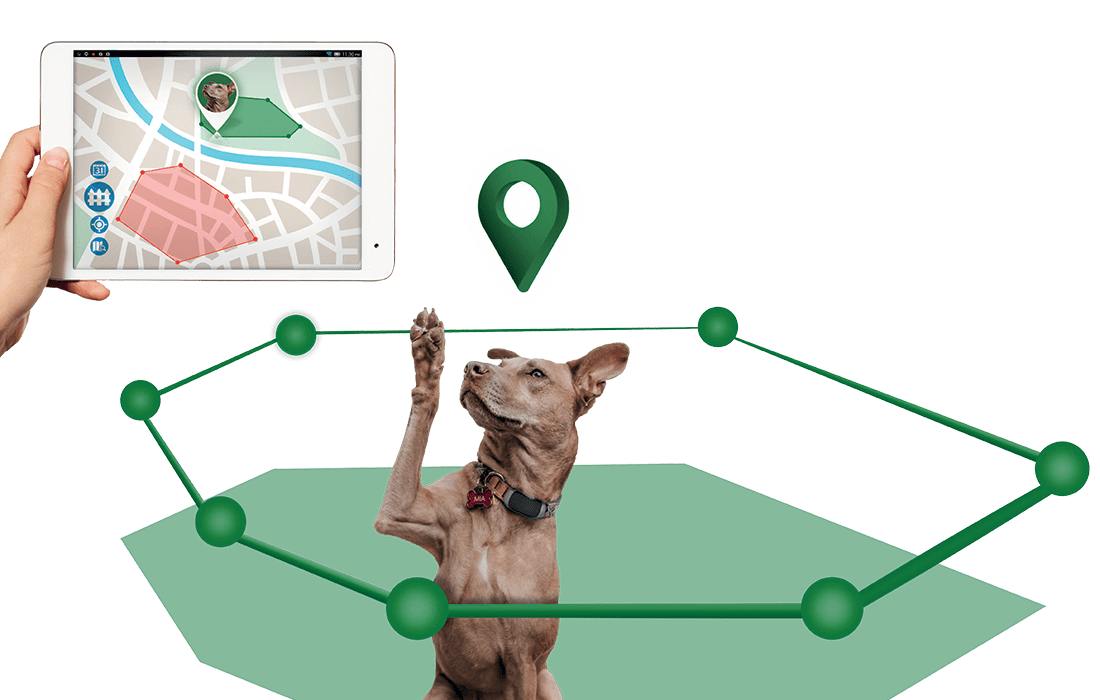 area-pets-geofences